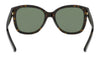 Ralph Lauren RL8180 Sunglasses | Size 54 / Shiny Dark Havana №500371 / Green (3N 14.0%)