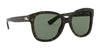 Ralph Lauren RL8180 Sunglasses | Size 54 / Shiny Dark Havana №500371 / Green (3N 14.0%)