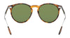 Ralph Lauren RL8181P Sunglasses | Size 53 / Shiny Black / Solid Purple (Polarized) (3P 13.24%) №50011A