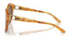 Ralph Lauren RL8190Q Sunglasses | Size 55 / Havana / Gradient Brown (2N 26.5%) №605613