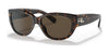 Ralph Lauren RL8193 Sunglasses | Size 56 / Shiny Dark Havana №500373 / Brown (3N 14.5%)