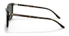 Ralph Lauren RL8199 Sunglasses | Size 53 / Shiny Black / Dark Grey (3N 10%) №500187