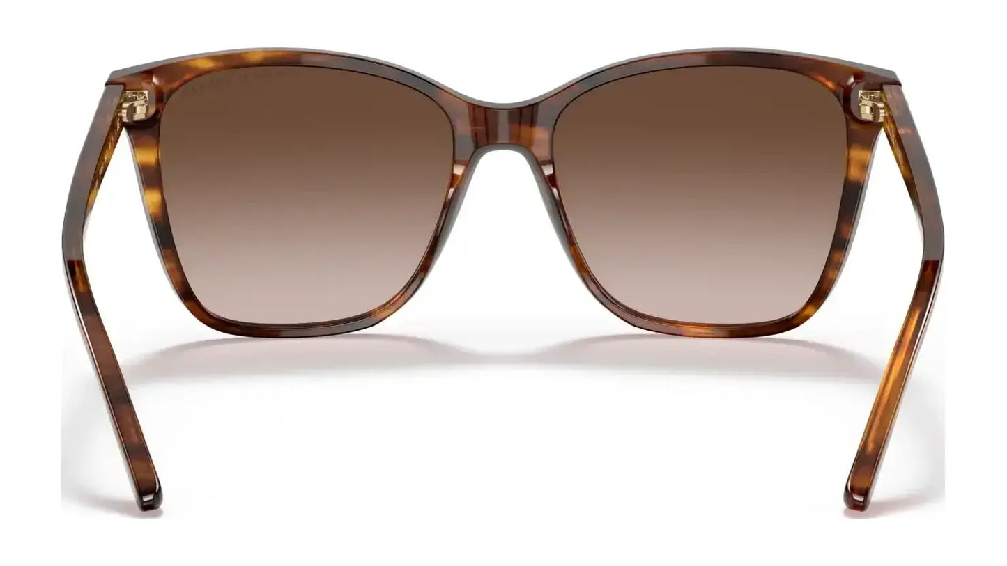 Ralph Lauren RL8201 Sunglasses | Size 56