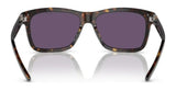 Ralph Lauren RL8203QU Sunglasses | Size 57