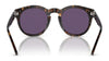 Ralph Lauren RL8204QU Sunglasses | Size 50 / Shiny Black / Dark Green (3N 9.4%) №500171