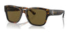 Ralph Lauren THE RL 50 RL8205 Sunglasses | Size 55 / Shiny Antique Havana №513480 / Dark Brown (3N 13.5%)