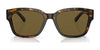 Ralph Lauren THE RL 50 RL8205 Sunglasses | Size 55 / Shiny Antique Havana №513480 / Dark Brown (3N 13.5%)