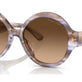 Shiny Violet Brown Havana
