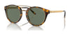 Ralph Lauren RL8210 Sunglasses | Size 49 / Havana / Green (3N 15%) №51345U