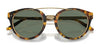 Ralph Lauren RL8210 Sunglasses | Size 49 / Havana / Brown (3N 14%) №50025W