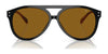 Ralph Lauren THE CRUISER RL8211U Sunglasses | Size 59 / Black / Brown (3N 14.4%) №500133