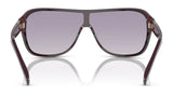 Ralph Lauren THE DILLION RL8214U Sunglasses | Size 134