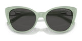 Ralph Lauren RL8215BU Sunglasses | Size 56