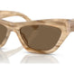Brown Oyster