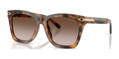 Ralph Lauren RL8235U Sunglasses Havana / Gradient Brown