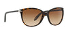 Ralph RA5160 Sunglasses | Size 57 / Shiny Black / Gradient Grey (3N 15.2%) №501/11