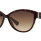 Shiny Dark Havana №50213