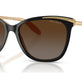 Gradient Brown (Polarized) (3P 13.1%) №1090T5
