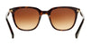 Ralph RA5206 Sunglasses | Size 51 / Shiny Dark Havana / Gradient Brown (3N 14.2%) №137813