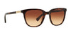 Ralph RA5206 Sunglasses | Size 51 / Shiny Dark Havana / Gradient Brown (3N 14.2%) №137813