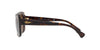 Ralph RA5241 Sunglasses | Size 55 / Shiny Dark Havana №500373 / Brown (3N 14.5%)