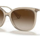Shiny Transparent Brown
