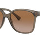 Shiny Transparent Brown №588313