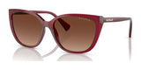 Ralph RA5274 Sunglasses Transparent Bordeaux / Light Brown Gradient (Polarized)