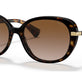 Shiny Dark Havana №500313
