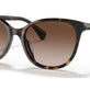 Havana Brown №500313