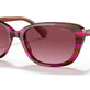 Striped Brown Purple №59848H