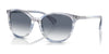 Ralph RA5296 Sunglasses | Size 55 / Shiny Striped Blue Brown №6035X0 / Gradient Violet (2N 35.5%)