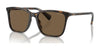 Ralph RA5314U Sunglasses | Size 54 / Shiny Dark Havana / Brown (3N 14.5%) №500387
