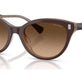 Solid Brown Milky Brown