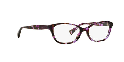 Ralph RA7049 Eyeglasses