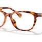 Shiny Havana №5885