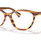 Striped Brown №5988