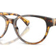 Antique Tortoise №5134