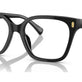 Shiny Black №5001