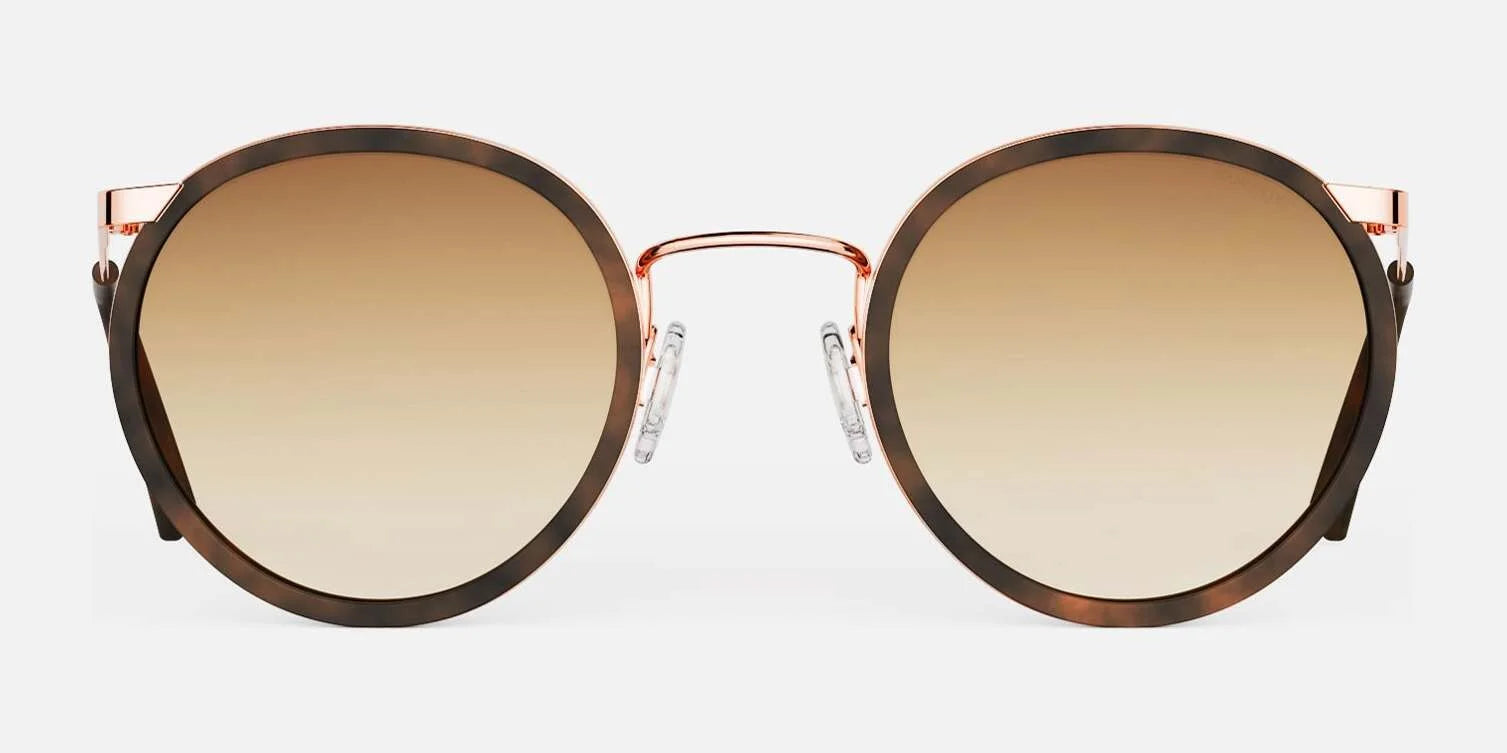 The Randolph P3 FUSION Sunglasses in size 51 feature brown gradient lenses, dark brown frames, and rose gold detailing. Crafted from high-quality materials and offering superior UV protection, these round sunglasses showcase an elegant design viewed from the front.