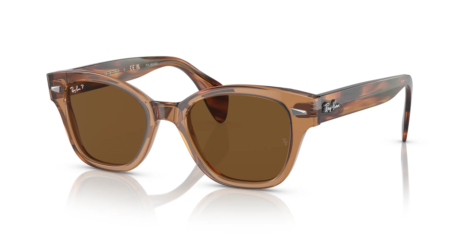 Ray-Ban RB0880S Sunglasses Transparent Brown / Brown