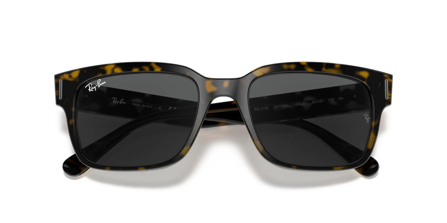 Ray-Ban JEFFREY RB2190 Sunglasses
