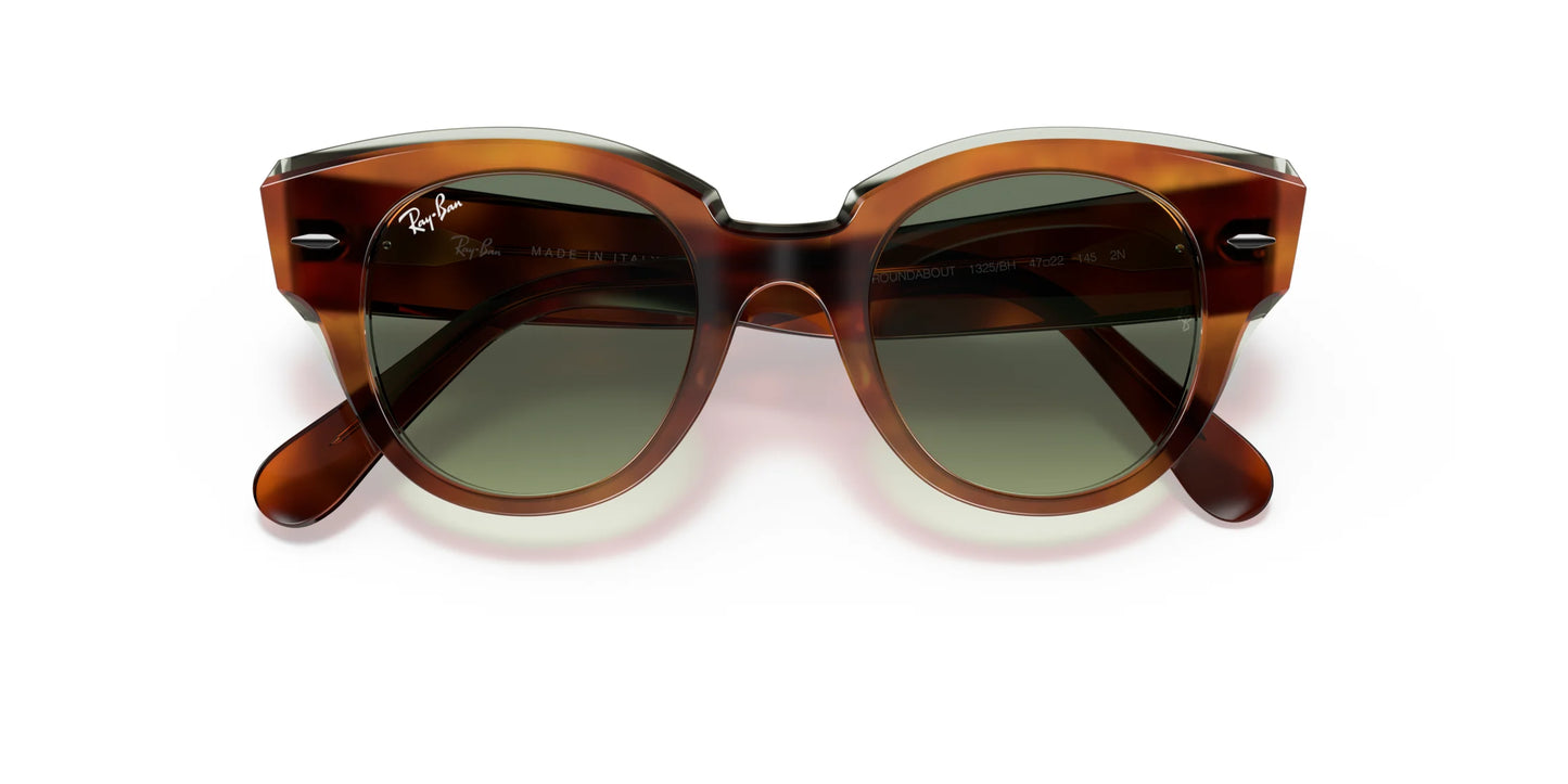 Ray-Ban ROUNDABOUT RB2192 Sunglasses | Size 47