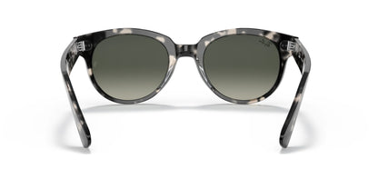 Ray-Ban ORION RB2199 Sunglasses | Size 52
