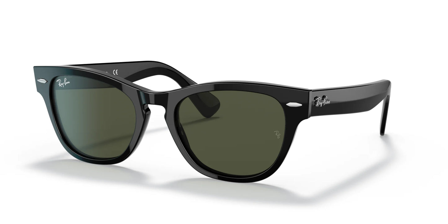 Ray-Ban LARAMIE RB2201 Sunglasses Black / Green Classic G-15