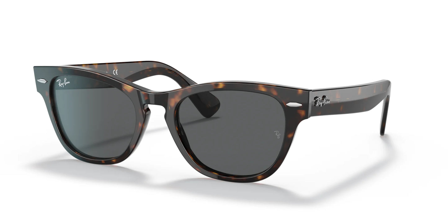 Ray-Ban LARAMIE RB2201 Sunglasses Tortoise / Dark Grey