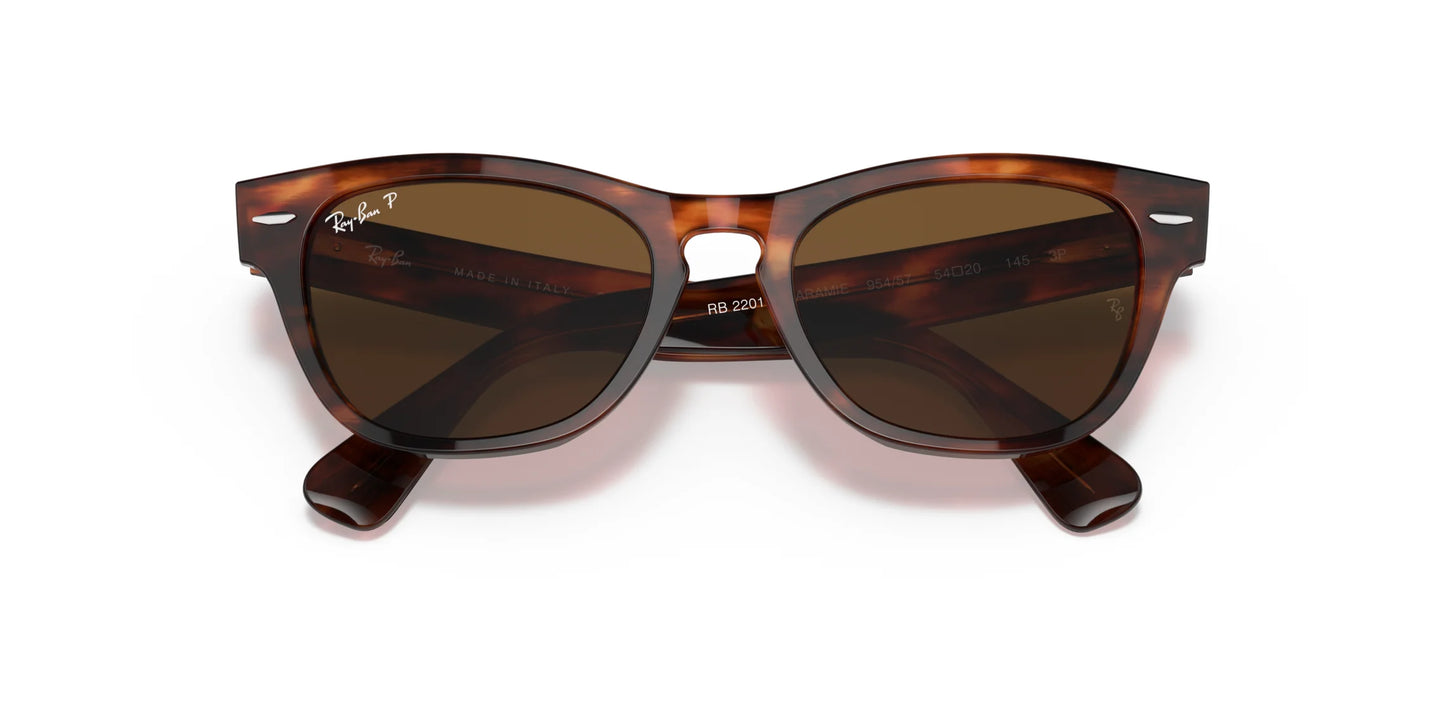 Ray-Ban LARAMIE RB2201 Sunglasses | Size 54