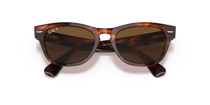 Ray-Ban LARAMIE RB2201 Sunglasses | Size 54