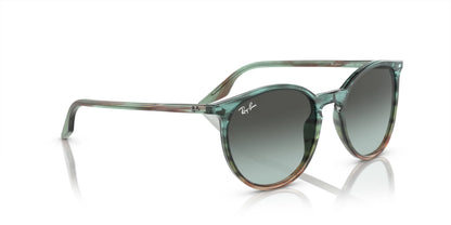 Ray-Ban RB2204F Sunglasses | Size 54