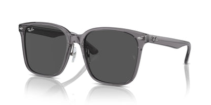 Ray-Ban RB2206D Sunglasses Transparent Grey / Dark Grey